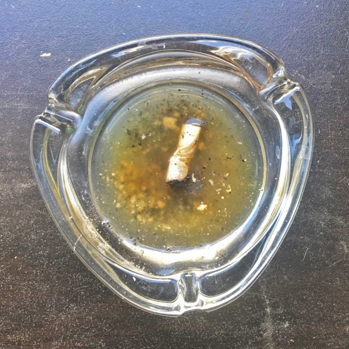 Zigarettenstümmel schwimmt in einem Aschenbecher in Wasser